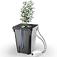 YIFOR DWC Hydroponics Growing System with Top Drip Kit 7 Gallon Deep Water Culture Bucket System with Air Pump, Air Stone, Air Hose, Recirculating Drip Garden System