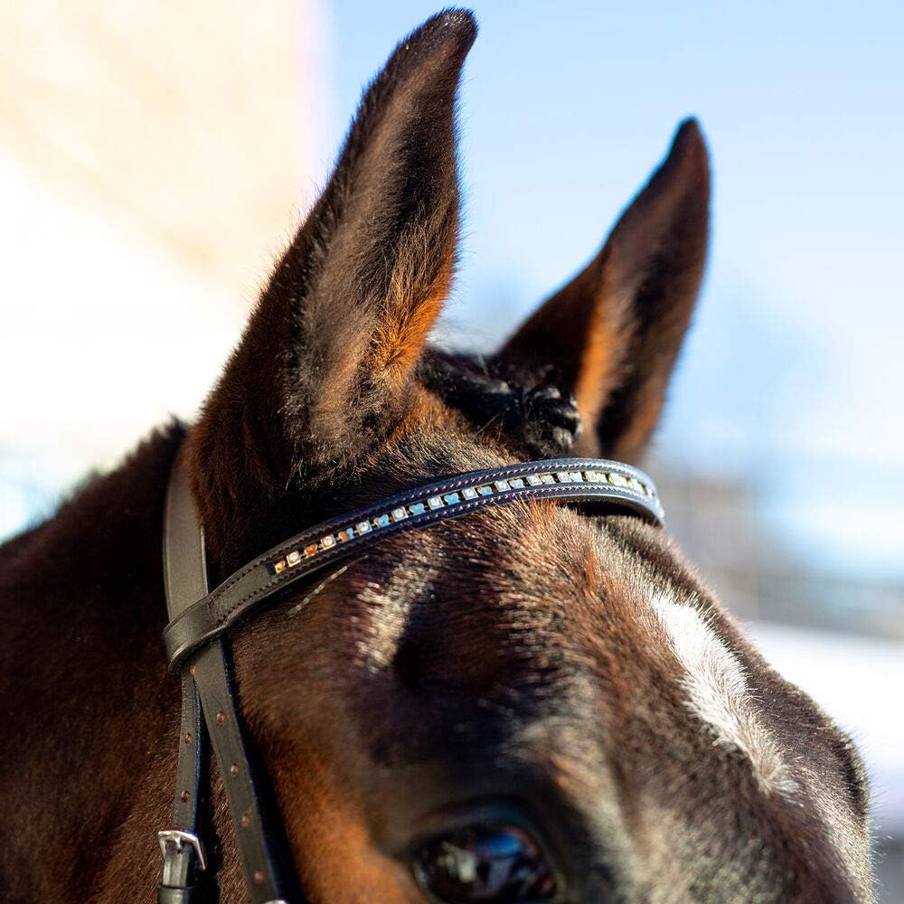 HORZE Weston Flash Bridle w/Reins: Sports & Outdoors