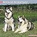 Alaskan Malamute 2012 Wall Calendar #10004-12 by Pet Prints (2011-07-01) by 