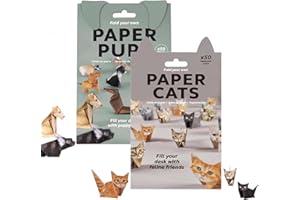 Kit origami en papier à faire soi-même, 50 feuilles de papier 3D pour plier les chats, les chiens et les dinosaures, activité