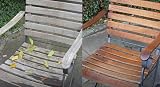 Osmo Wood Reviver Power Gel 500ml Restores Greyed Exterior Wood Surfaces view 3