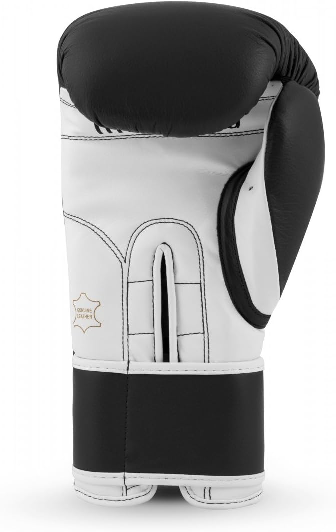 Title Boxing Pro Style Leather Training Gloves 3.0 : Sports & Outdoors