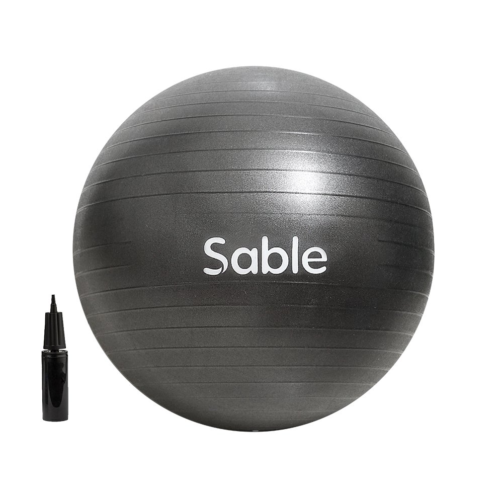 Amazon.com: Sable Exercise Yoga Ball for Balance, Stability ...