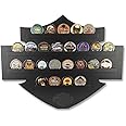 Harley-Davidson Coin Display - Bar & Shield Wall Display Holds 25 Coins