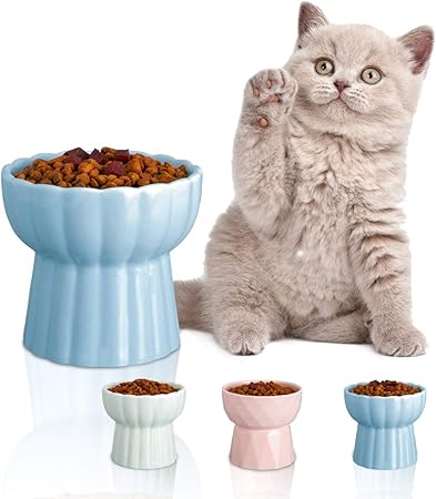 elevated ceramic cat bowls