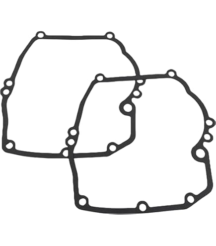 Amazon.com: Briggs & Stratton 799875 Cylinder Head Gasket : Patio