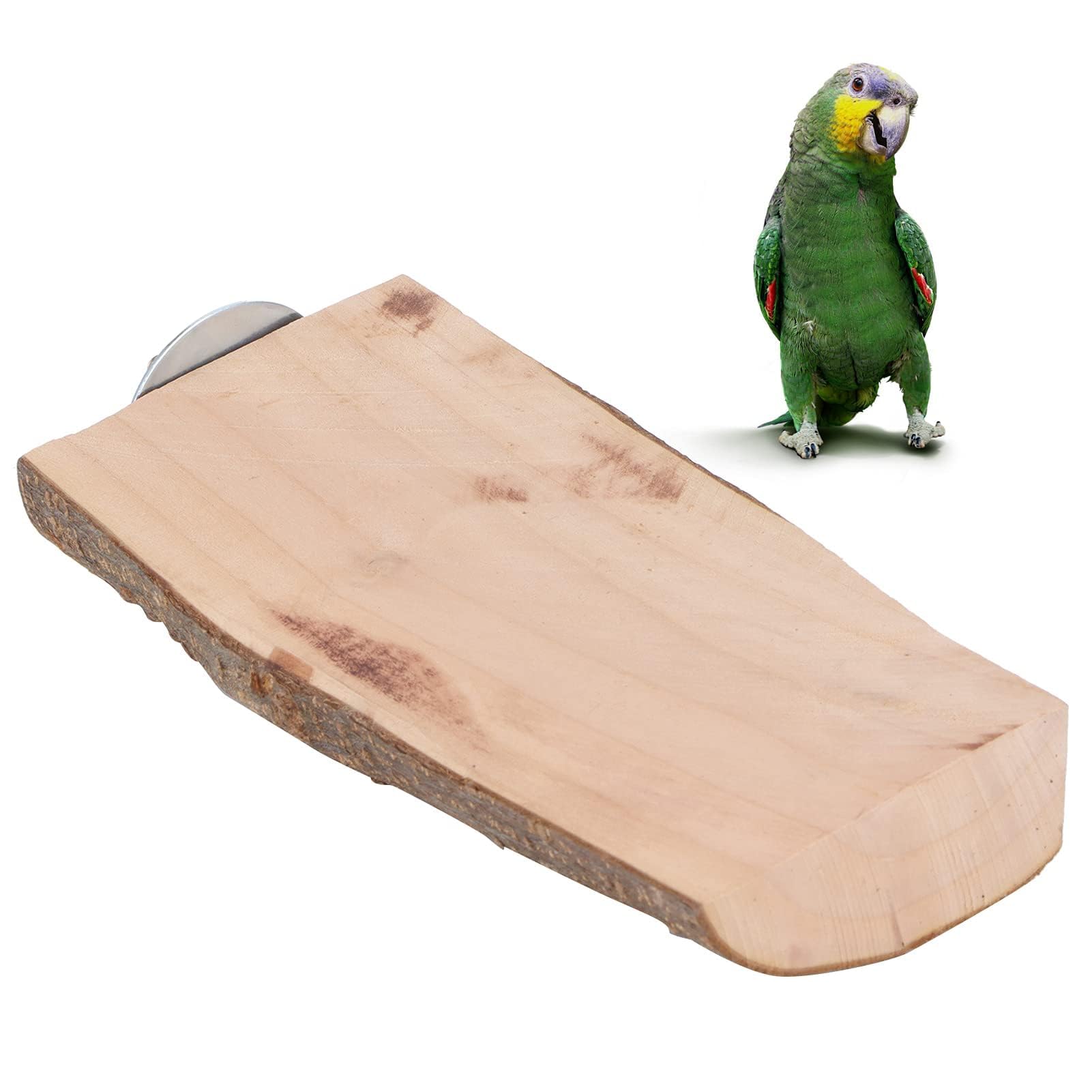 Parrot Perch for Cage, Parrots Cage Perch, Natural Wood Parrots Standing Platform Wooden Perch Stick Bird Standing Playground for Pet Birds Parakeets, Cockatiels, Budgies (5-6/15)