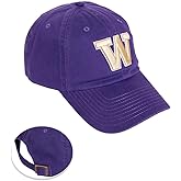 Desert Cactus University of Washington Baseball Hat UW Huskies Husky Brimmed Embroidered Cap Adjustable Cloth Strap Adult
