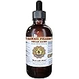 Chuan Xiong Liquid Extract, Chuan Xiong (Rhizoma Ligustici Chuanxiong) Root Tincture Supplement 2 oz
