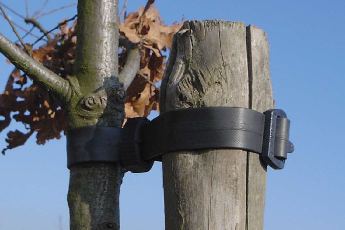 Garden Tree Buckle Ties - 60cm - Pack of 50 (a321)