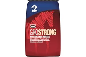 ADM ANIMAL NUTRITION 641BT Horse Vitamin/Mineral , 1Piece 25 lb