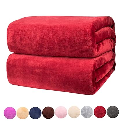 Amazon Com Plush Flannel Fleece Twin Throw Blanket Reversible