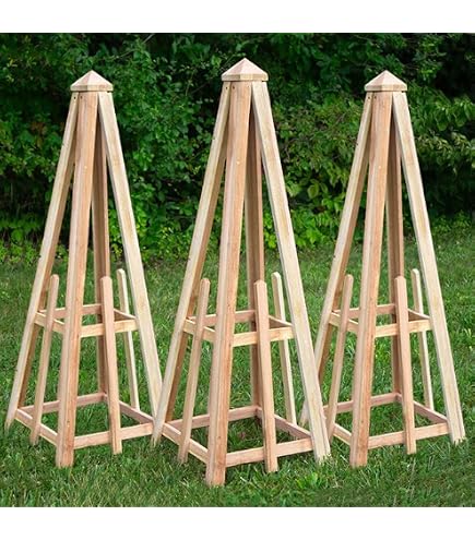 Amazon.com : Cedar Trellis 46" Pyramid Obelisk for Climbing Plants   Durable Cedar Wood Garden Trellis for Roses, Tomatoes, & Potted Plants   Vertical Support for Outdoor & Container Gardening : Patio,