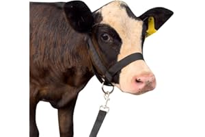 KABAHORZE Cow Halter Cattle Halters Calf Halter with Leading Rope，Adjustable Nylon Livestock Cattle Halter，for Miniature Horse Donkey Goat Foal (Black, Medium)