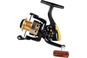 Diwa Spinning Fishing Reels for Saltwater Freshwater 1000 2000 3000 4000 5000 6000 Series Fishing Spool Left/Right Interchangeable Trout Carp Spinning Reel Light and Smooth