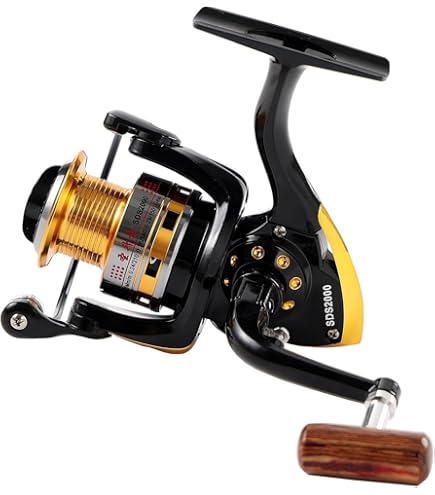 best spinning combo under 50 BEST Spinning Combo UNDER $100! (Walmart Edition)