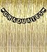 2017 Graduation Banner Decorations Grad Foil Metallic Fringe Curtains - Black Gold Party Supplies Ornaments