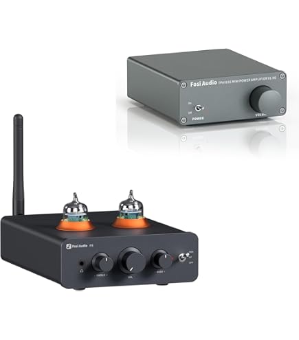 Amazon.com: Fosi Audio TB10D 600W TPA3255 Power 2 Channel
