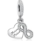 Annmors Silver Charms for Bracelets 925 Sterling Dragonfly Family Heart Love Dangle for Women Bracelet & Necklace Pendant