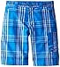 Columbia Sportswear Boy's Silver Ridge III Shorts (Youth)