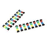 DNA Display Model, DNA Display Model Double