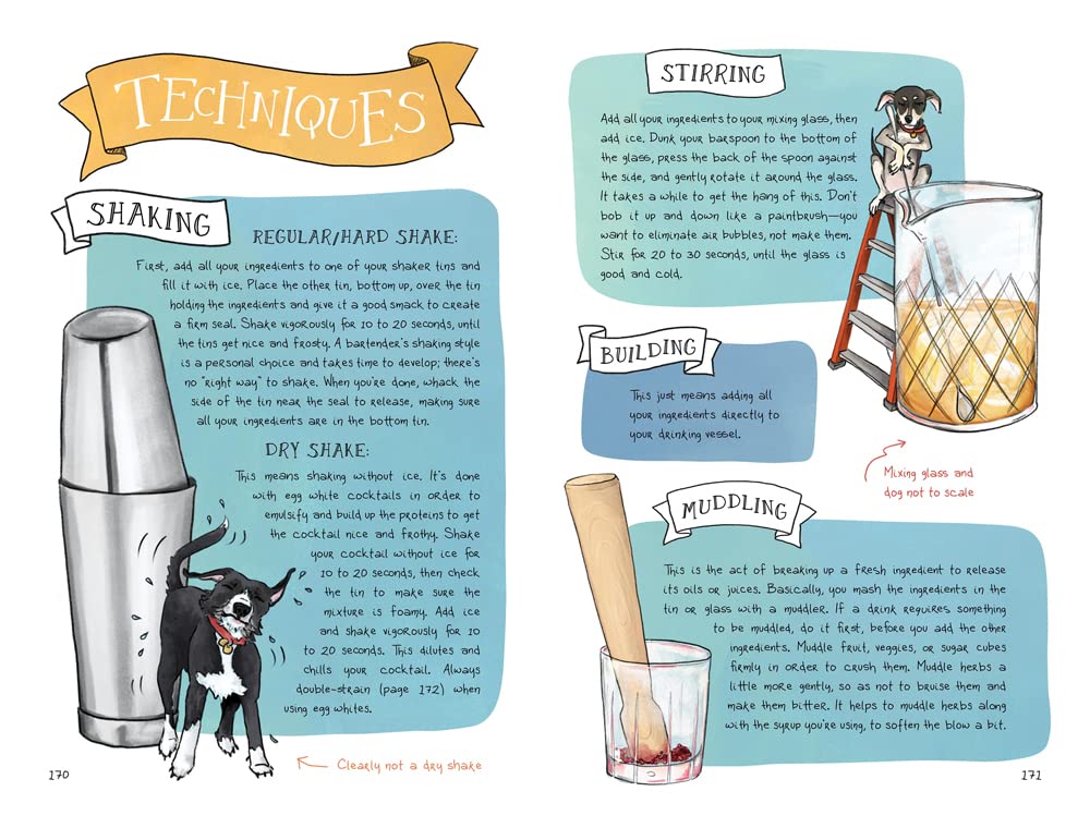 Cocktails in Color: A Spirited Guide to the Art and Joy of Drinkmaking - A Cocktail Book