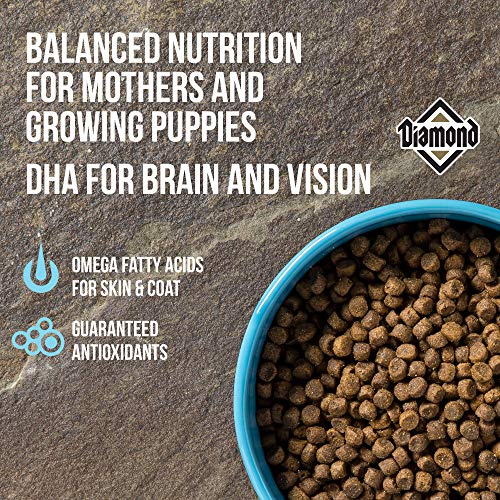 Diamond Premium Recipe Complete And Balanced Dry Dog Food For Growing