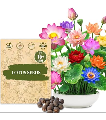 veggie garden seeds Dope Garden Seed Kit: 50 Varieties & 25k Seeds 