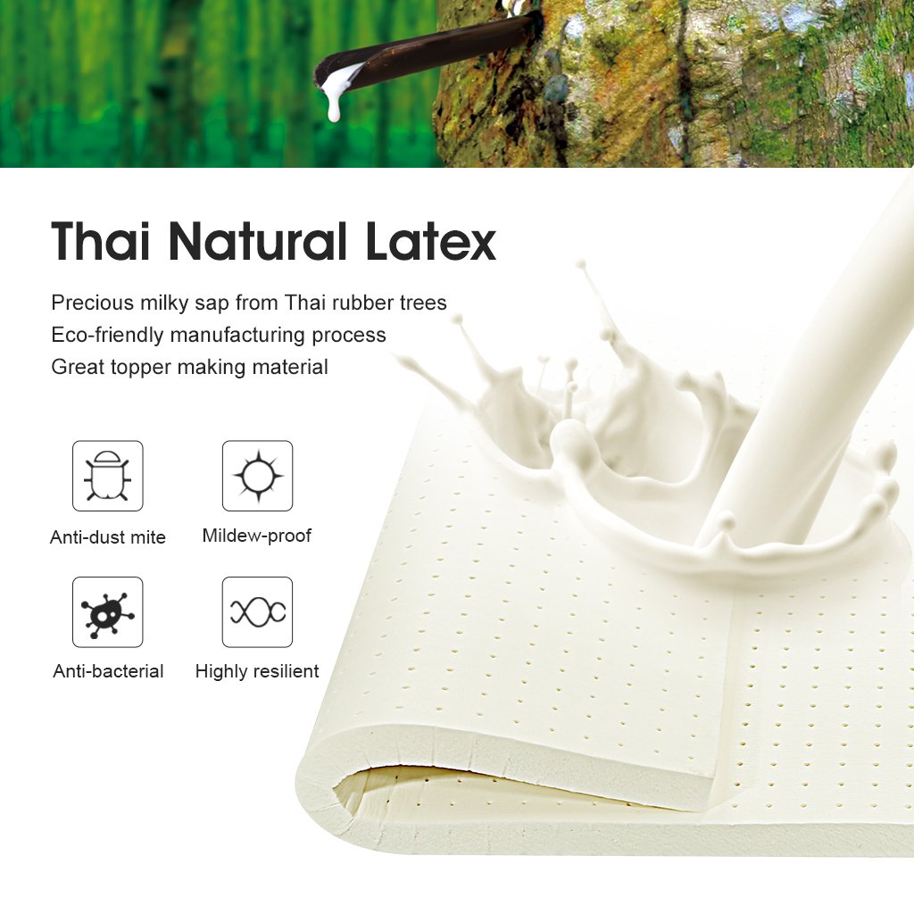 LANGRIA 2" Plush Latex Mattress Topper with Removable Bamboo Fabric Zippered Cover, Medium Feel, Oeko-TEX Certified, Full Size