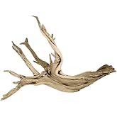 Koyal Wholesale 24" Driftwood Terrarium Decor, Clean California Manzanita Drift Wood Reptile Decor, Driftwood Decor for Home, Desert Reptile Supplies