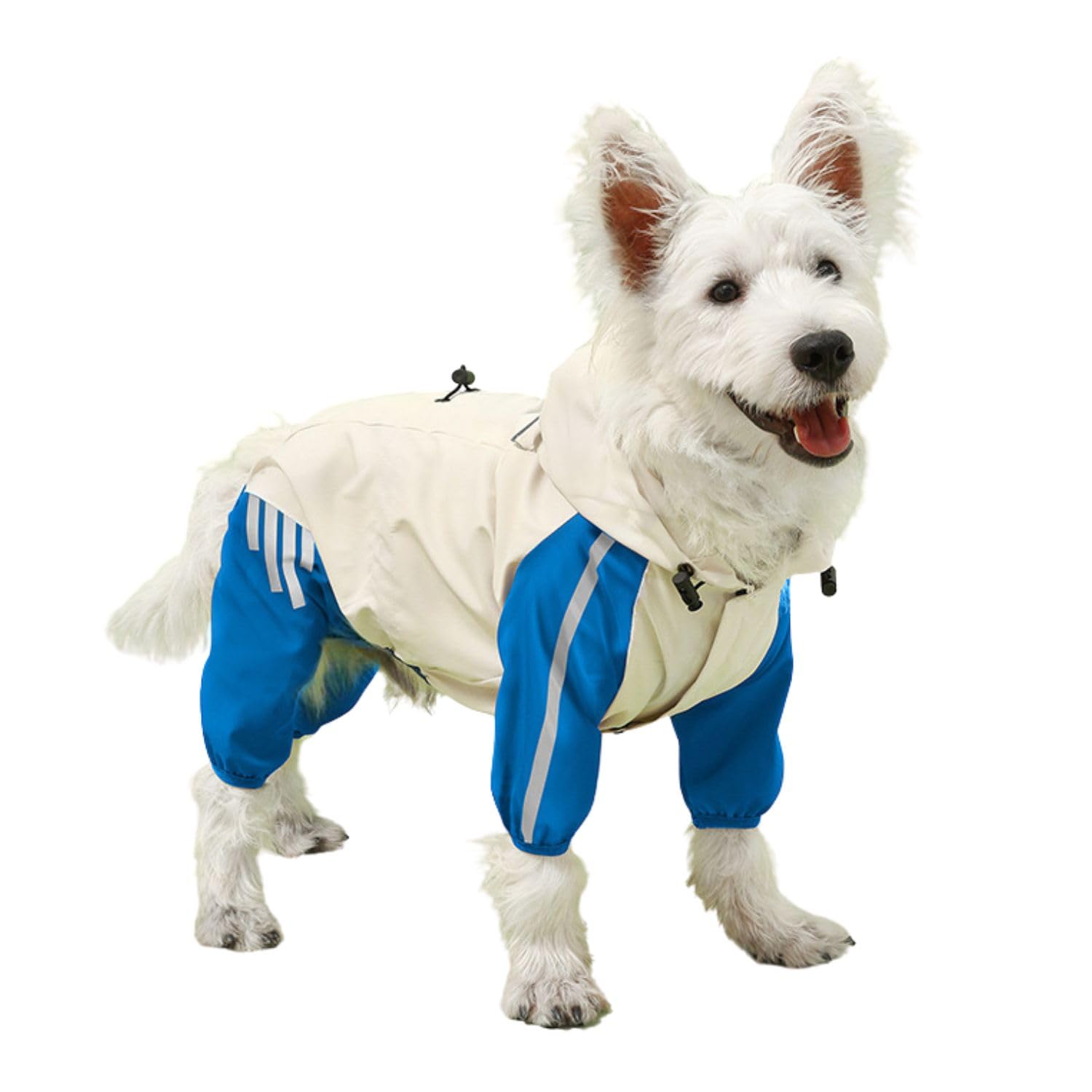 BT Bear Small Dog Raincoat with Legs, Breathable Puppy Raincoats with Reflective Strips & Hood Jumpsuit for Puppy Small Dogs (Blue,M)