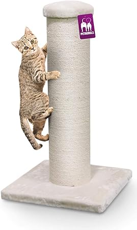 Petrebels Poteau A Griffer Savannah 86 Cm Amazon Fr Animalerie
