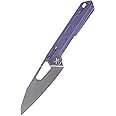 TACRAY Titanium Handle Frame Locking Knife, Folding Pocket Clip Knife, Portable Camping Knife with Sharp Blade for both Kithen and Outdoor Cuttings (Purple blue handle)
