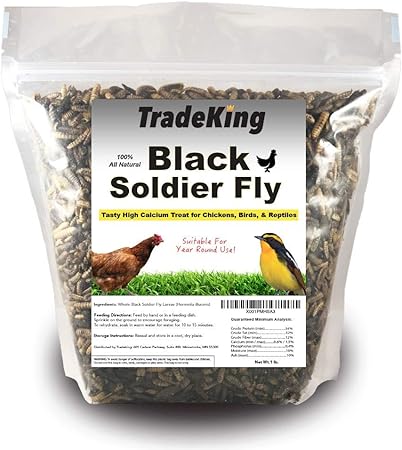 Amazon Com Tradeking Black Soldier Fly Larvae Perfect Treat For