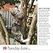 365 Cats Page-A-Day Calendar 2018