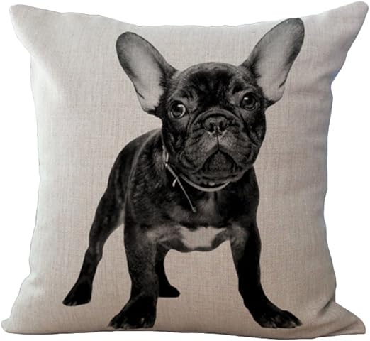Home Decor Pillows French Street Illustrator Cushion Cover D Home