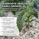 Grow Chem Fine Grade Perlite 5 Litre 0.3–2mm for Seedlings Propagation view 6