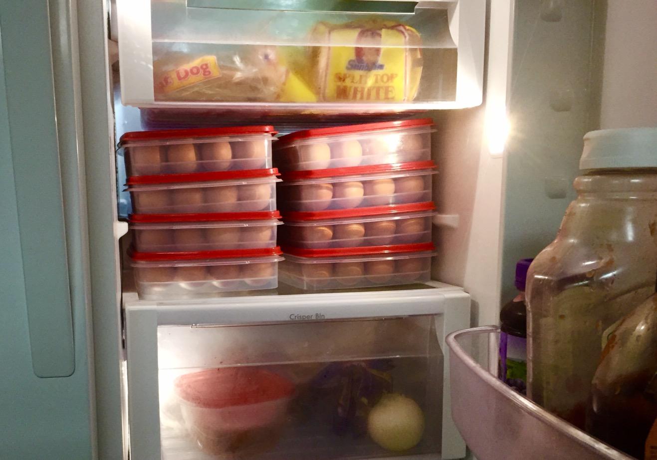 6/mo Finance Rubbermaid Specialty Bread Keeper Food Storage