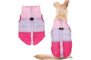Idepet Pet Dog Cat Coat with Leash Anchor Color Patchwork Padded Puppy Teddy Chihuahua Jacket Vest Costumes Pug Clothes (S, Rose Red)