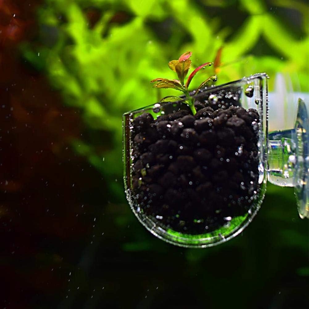 Aquarium Red Worm Fish Feeder Transparent Suction Cup Fish Tank Feeding Cup Food Container for Feeding Shrimp Fish(Acrylic Crack Cup) - Image 4
