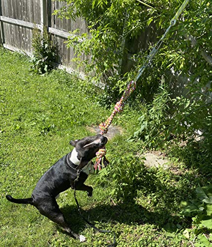 pitbull exercise toys