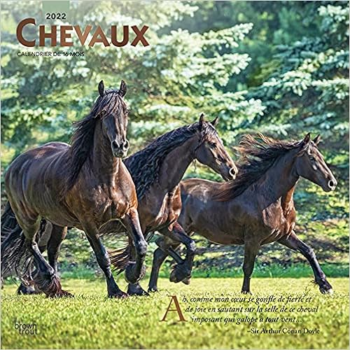 Calendrier Chevaux 2023 Chevaux 2022 12 X 12 Inch Monthly Square Wall Calendar With Foil Stamped  Cover, Animals Horses Equestrian (French Edition): Browntrout Publishers  Inc., Browntrout Publishers Editing Team, Browntrout Publishers Design  Team, Browntrout Publishers