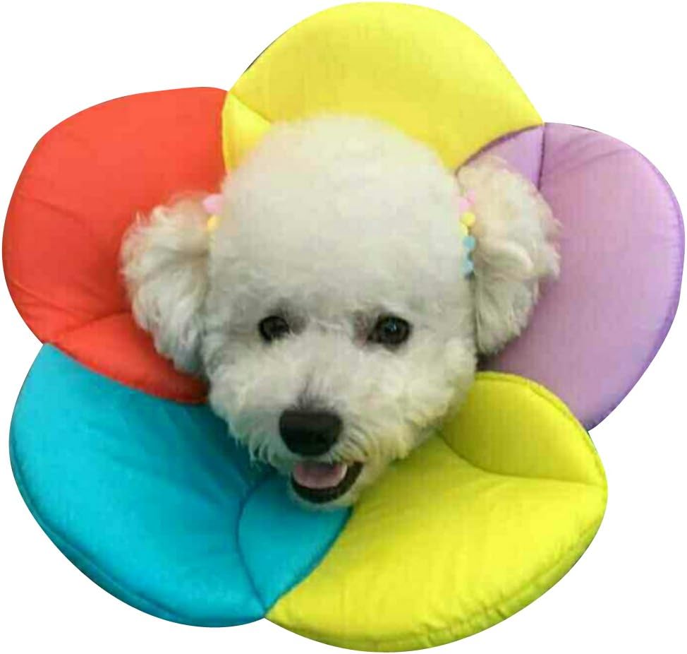 DELIFUR Dog Cone Collar Pet ECollar Elizabethan Collars Recovery Pet