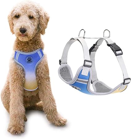 harness for small dogs amazon