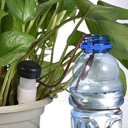 2016 New 11Cm 8 Pc Self-Watering Indoor Auto Drip Irrigation Watering System Automatic Drip Waterer Spike For Novelty Houseplant