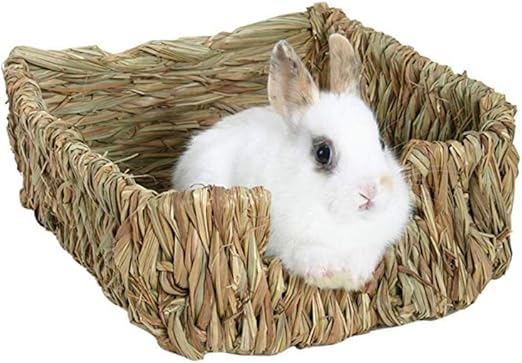 juguetes para conejos amazon