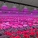 LED Plant Grow Lights, SANSI Red Light 15W Full Spectrum E26 LED Grow Lights Bulb for Indoor Plants, Grow Bulbs for Vegetable, Seedling, Hydroponics and Greenhouse