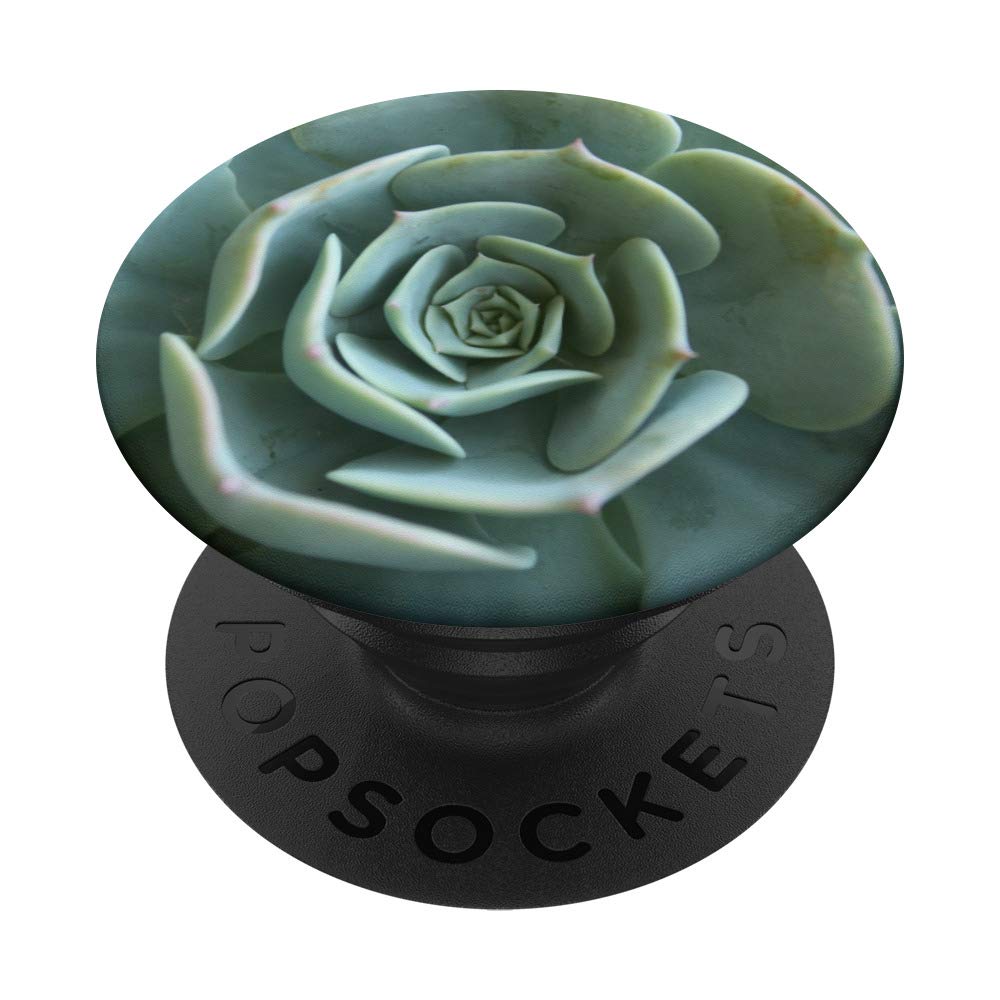 Pretty Green Succulent Mandala Desert Plant Design PopSockets Grip and Stand for Phones and Tablets