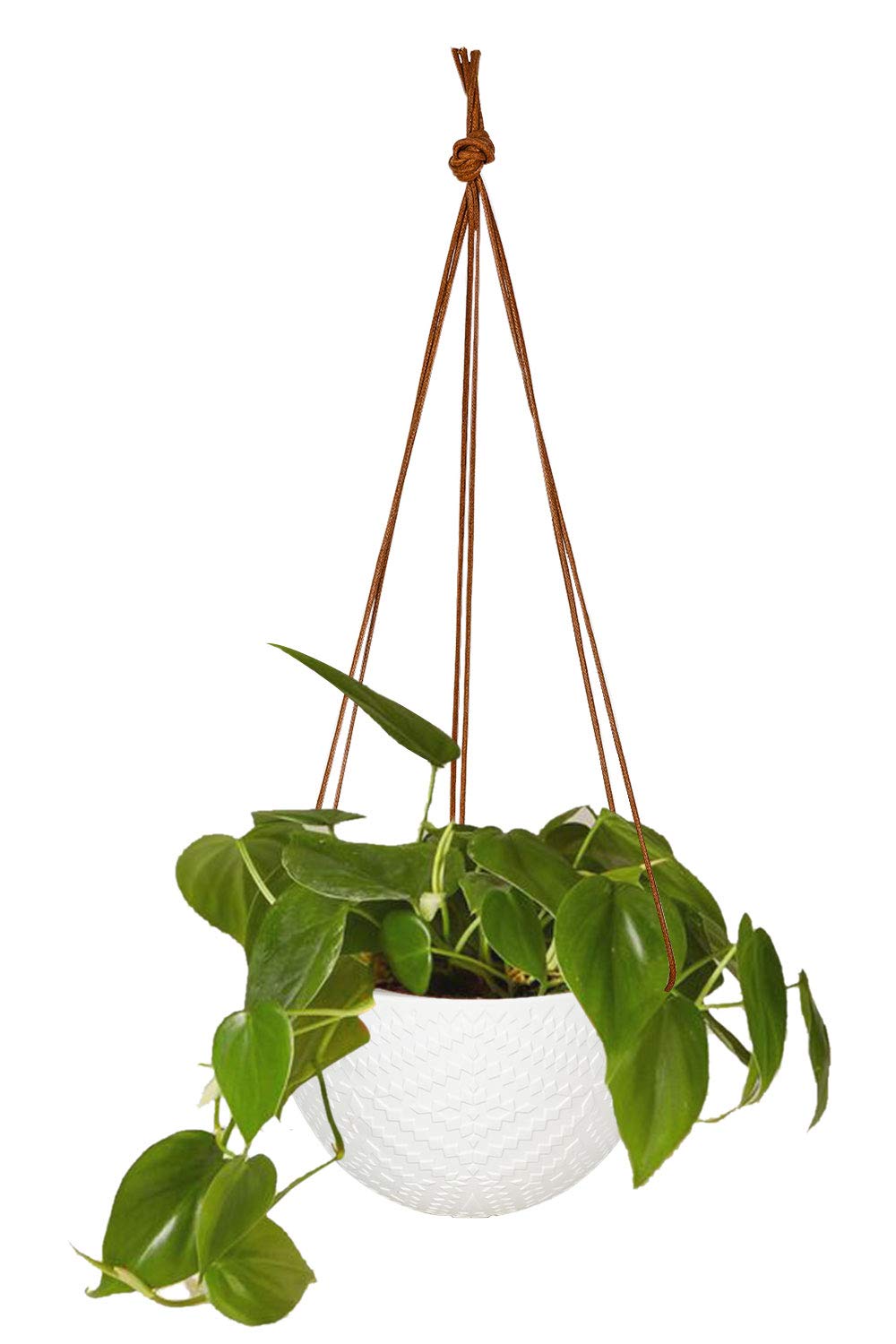 Best Cuisinart Elements 7In  Ceramic Bread Knife