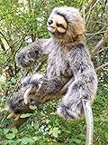 Realistic Stuffed Sloth - 16